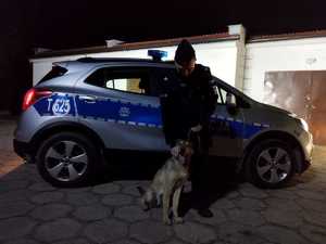 na tle radiowozu policyjnego policjant a przy nim siedzący pies