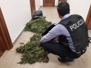 zabezpieczona marihuana a przy niej policjant