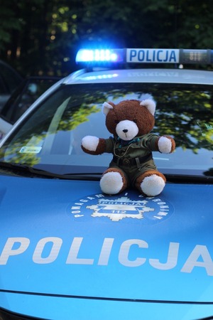maskotka misia siedząca na masce radiowozu