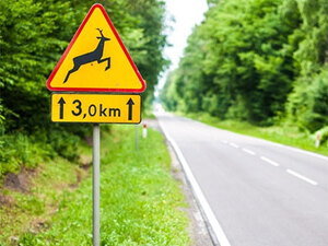 droga w lesie i znak uwaga na dzikie zwierzęta na odcinku 3km