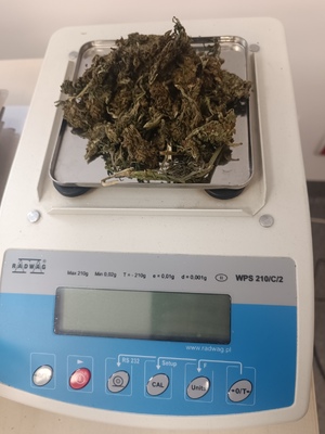 na wadze leży wsypany susz roślinny