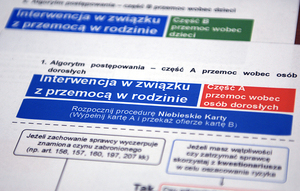 fragment kwestionariusza Niebieskiej Karty z napisem 1. Algorytm postępowania- część A przemoc wobec osób dorosłych