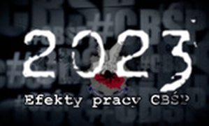 napis: 2023 efekty pracy CBŚP