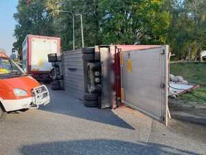 Wóz straży pożarnej a w tle przewrócona przyczepa i świnie
