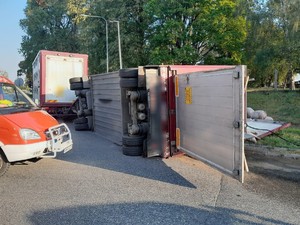 Wóz straży pożarnej a w tle przewrócona przyczepa i świnie