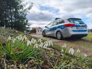 na pierwszym planie kwitnące kwiaty a w tle radiowóz