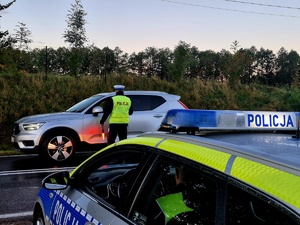 policjant stojący na drodze, kontroluje pojazd. Na pierwszym planie radiowóz