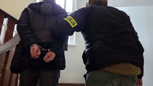 prowadzona osoba poszukiwana